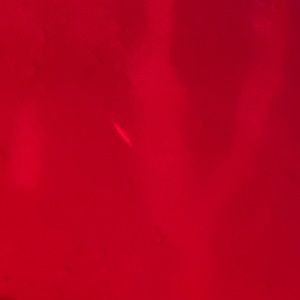 Meet your Posher, Jaley